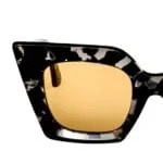 Black Havana
